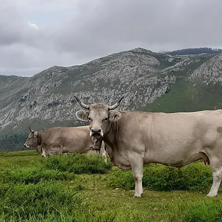 Casa Pili Holiday home Rivero