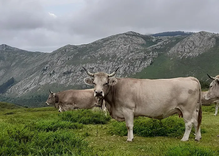 Casa Pili Holiday home Rivero