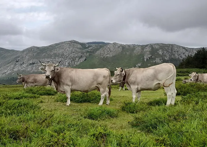 Casa Pili Сasa de vacaciones Rivero